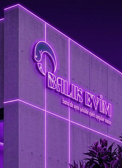 Ekran görüntüsü 2026-05-18 000616